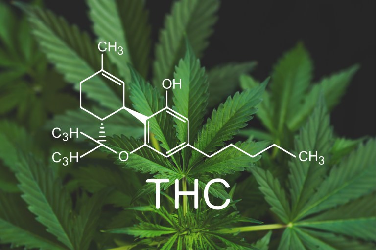 5 interesantes verdades del THC