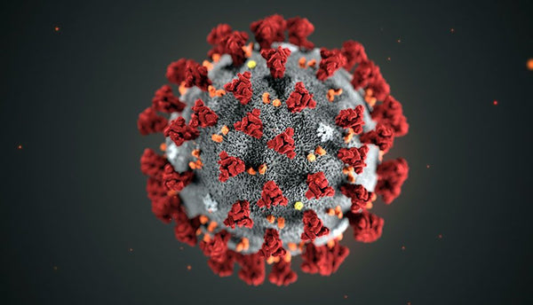 Coronavirus y consumo de Marihuana